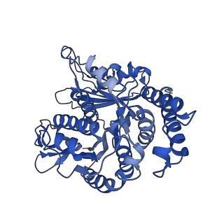 40619_8snb_MJ_v1-0
atomic model of sea urchin sperm doublet microtubule (48-nm periodicity)