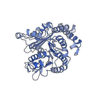 40619_8snb_RJ_v1-0
atomic model of sea urchin sperm doublet microtubule (48-nm periodicity)