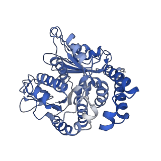 40619_8snb_TC_v1-0
atomic model of sea urchin sperm doublet microtubule (48-nm periodicity)