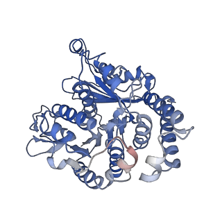 40619_8snb_TM_v1-0
atomic model of sea urchin sperm doublet microtubule (48-nm periodicity)
