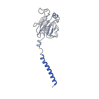 40625_8snh_C_v1-0
cytochrome bc1-cbb3 supercomplex from Pseudomonas aeruginosa