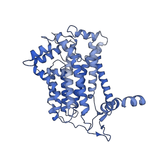 40625_8snh_D_v1-0
cytochrome bc1-cbb3 supercomplex from Pseudomonas aeruginosa