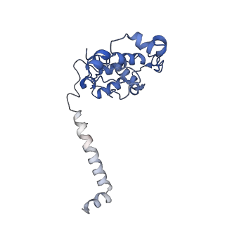 40625_8snh_F_v1-0
cytochrome bc1-cbb3 supercomplex from Pseudomonas aeruginosa