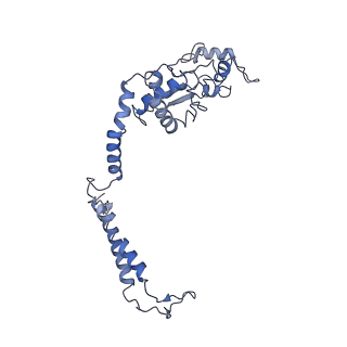 40625_8snh_G_v1-0
cytochrome bc1-cbb3 supercomplex from Pseudomonas aeruginosa