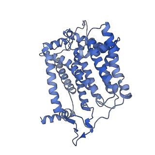 40625_8snh_I_v1-0
cytochrome bc1-cbb3 supercomplex from Pseudomonas aeruginosa