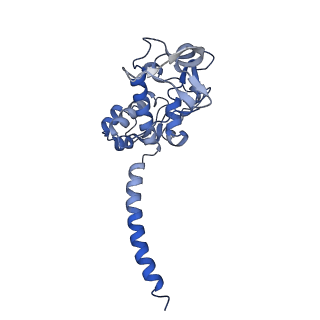 40625_8snh_J_v1-0
cytochrome bc1-cbb3 supercomplex from Pseudomonas aeruginosa