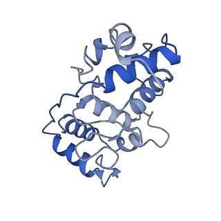 40625_8snh_K_v1-0
cytochrome bc1-cbb3 supercomplex from Pseudomonas aeruginosa