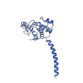 40625_8snh_M_v1-0
cytochrome bc1-cbb3 supercomplex from Pseudomonas aeruginosa