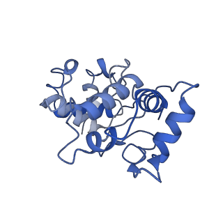 40625_8snh_N_v1-0
cytochrome bc1-cbb3 supercomplex from Pseudomonas aeruginosa