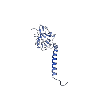 40625_8snh_Z_v1-0
cytochrome bc1-cbb3 supercomplex from Pseudomonas aeruginosa