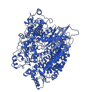 40641_8snx_A_v1-2
Cryo-EM structure of the respiratory syncytial virus polymerase (L:P) bound to the leader promoter