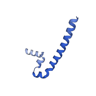 40641_8snx_B_v1-2
Cryo-EM structure of the respiratory syncytial virus polymerase (L:P) bound to the leader promoter