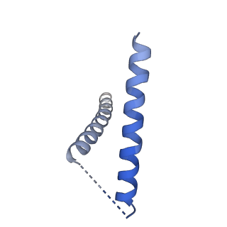 40641_8snx_D_v1-2
Cryo-EM structure of the respiratory syncytial virus polymerase (L:P) bound to the leader promoter