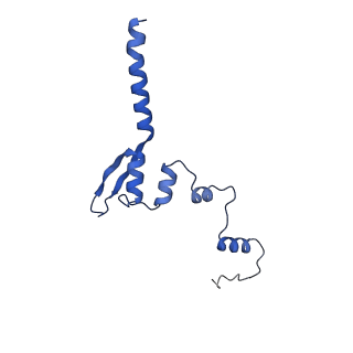 40641_8snx_E_v1-2
Cryo-EM structure of the respiratory syncytial virus polymerase (L:P) bound to the leader promoter