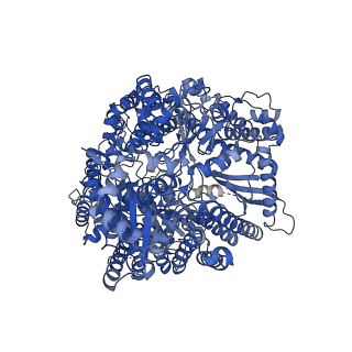 40642_8sny_A_v1-2
Cryo-EM structure of the respiratory syncytial virus polymerase (L:P) bound to the trailer complementary promoter