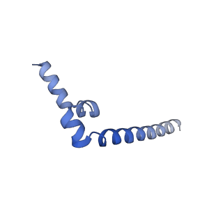 40642_8sny_B_v1-2
Cryo-EM structure of the respiratory syncytial virus polymerase (L:P) bound to the trailer complementary promoter