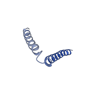 40642_8sny_C_v1-2
Cryo-EM structure of the respiratory syncytial virus polymerase (L:P) bound to the trailer complementary promoter