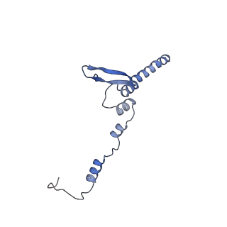40642_8sny_E_v1-2
Cryo-EM structure of the respiratory syncytial virus polymerase (L:P) bound to the trailer complementary promoter