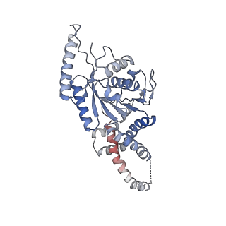 10266_6so5_A_v1-1
Homo sapiens WRB/CAML heterotetramer in complex with a TRC40 dimer