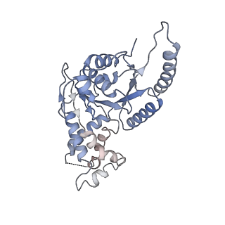 10266_6so5_B_v1-1
Homo sapiens WRB/CAML heterotetramer in complex with a TRC40 dimer