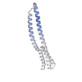 10266_6so5_D_v1-1
Homo sapiens WRB/CAML heterotetramer in complex with a TRC40 dimer