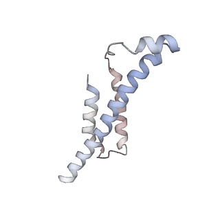 10266_6so5_E_v1-1
Homo sapiens WRB/CAML heterotetramer in complex with a TRC40 dimer