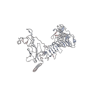 10273_6sof_A_v1-2
human insulin receptor ectodomain bound by 4 insulin