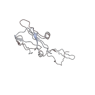 10273_6sof_D_v1-2
human insulin receptor ectodomain bound by 4 insulin