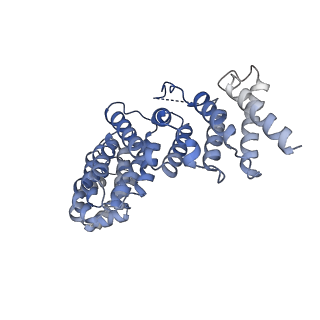 25363_7soy_B_v1-0
The structure of the PP2A-B56gamma1 holoenzyme-PME-1 complex