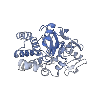 25363_7soy_C_v1-0
The structure of the PP2A-B56gamma1 holoenzyme-PME-1 complex