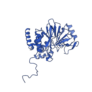 40644_8so0_C_v1-0
Cryo-EM structure of the PP2A:B55-FAM122A complex