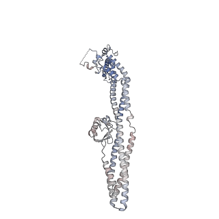 40658_8soi_B_v1-0
Structure of human ULK1 complex core (2:1:1 stoichiometry)