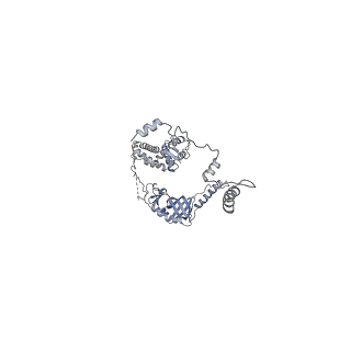 40659_8soj_B_v1-1
Cryo-EM structure of human CST bound to POT1(ESDL)/TPP1 in the absence of telomeric ssDNA