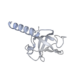 40659_8soj_C_v1-1
Cryo-EM structure of human CST bound to POT1(ESDL)/TPP1 in the absence of telomeric ssDNA