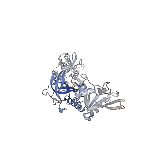 40659_8soj_D_v1-1
Cryo-EM structure of human CST bound to POT1(ESDL)/TPP1 in the absence of telomeric ssDNA