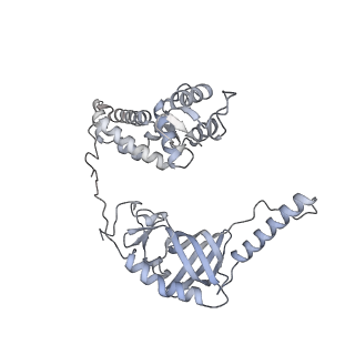 40660_8sok_B_v1-1
Cryo-EM structure of human CST bound to POT1(ESDL)/TPP1 in the presence of telomeric ssDNA