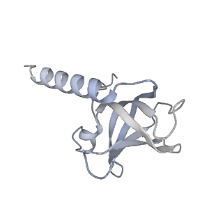 40660_8sok_C_v1-1
Cryo-EM structure of human CST bound to POT1(ESDL)/TPP1 in the presence of telomeric ssDNA