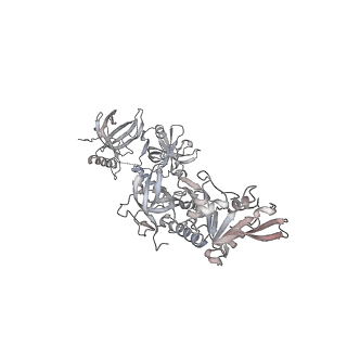 40660_8sok_D_v1-1
Cryo-EM structure of human CST bound to POT1(ESDL)/TPP1 in the presence of telomeric ssDNA
