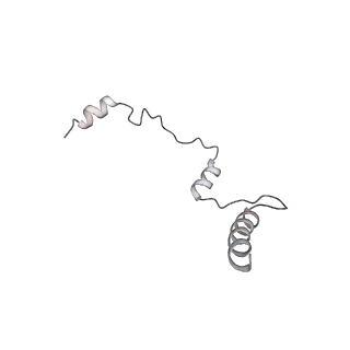 40660_8sok_E_v1-1
Cryo-EM structure of human CST bound to POT1(ESDL)/TPP1 in the presence of telomeric ssDNA