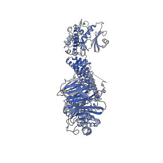 40669_8sor_A_v1-1
Structure of human PI3KC3-C1 complex