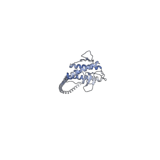 40669_8sor_D_v1-1
Structure of human PI3KC3-C1 complex