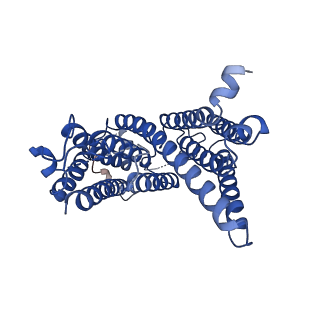 10279_6sp2_A_v1-3
CryoEM structure of SERINC from Drosophila melanogaster