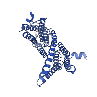 10279_6sp2_B_v1-3
CryoEM structure of SERINC from Drosophila melanogaster
