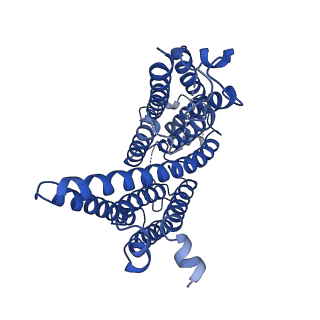 10279_6sp2_C_v1-3
CryoEM structure of SERINC from Drosophila melanogaster