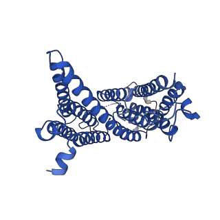 10279_6sp2_D_v1-3
CryoEM structure of SERINC from Drosophila melanogaster