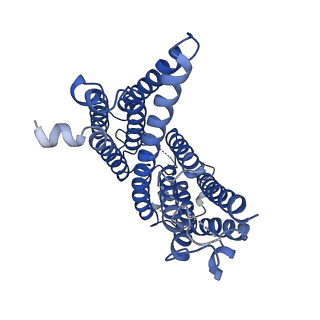10279_6sp2_E_v1-3
CryoEM structure of SERINC from Drosophila melanogaster