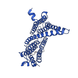 10279_6sp2_F_v1-3
CryoEM structure of SERINC from Drosophila melanogaster