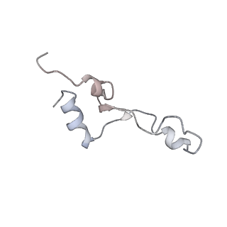 10280_6spb_5_v1-2
Pseudomonas aeruginosa 50s ribosome from a clinical isolate with a mutation in uL6