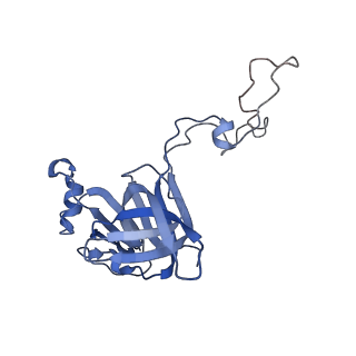 10280_6spb_D_v1-2
Pseudomonas aeruginosa 50s ribosome from a clinical isolate with a mutation in uL6