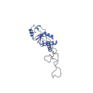 10280_6spb_E_v1-2
Pseudomonas aeruginosa 50s ribosome from a clinical isolate with a mutation in uL6